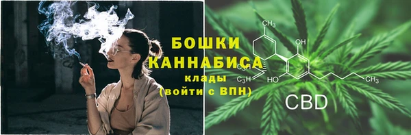 прущие крисы Бородино