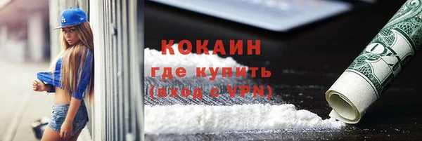 PSILOCYBIN Богданович