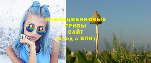 Альфа ПВП Богородицк