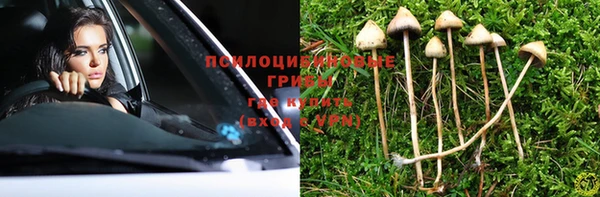 первитин Богородск