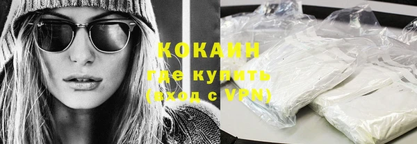 прущие крисы Бородино